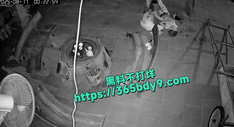 越南毒妇捅死自己老公6