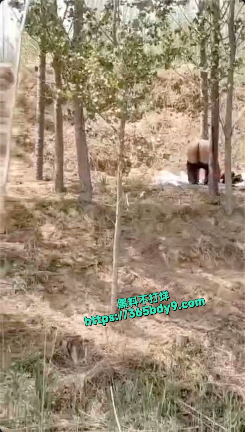 同性恋野战被拍6