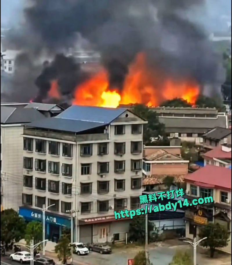 湖南株洲炎陵县工业园突发大火 8