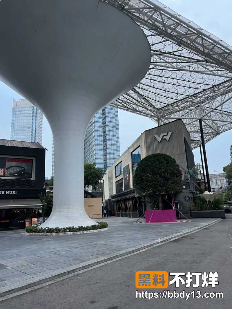 网友热议成都兰桂坊事件12