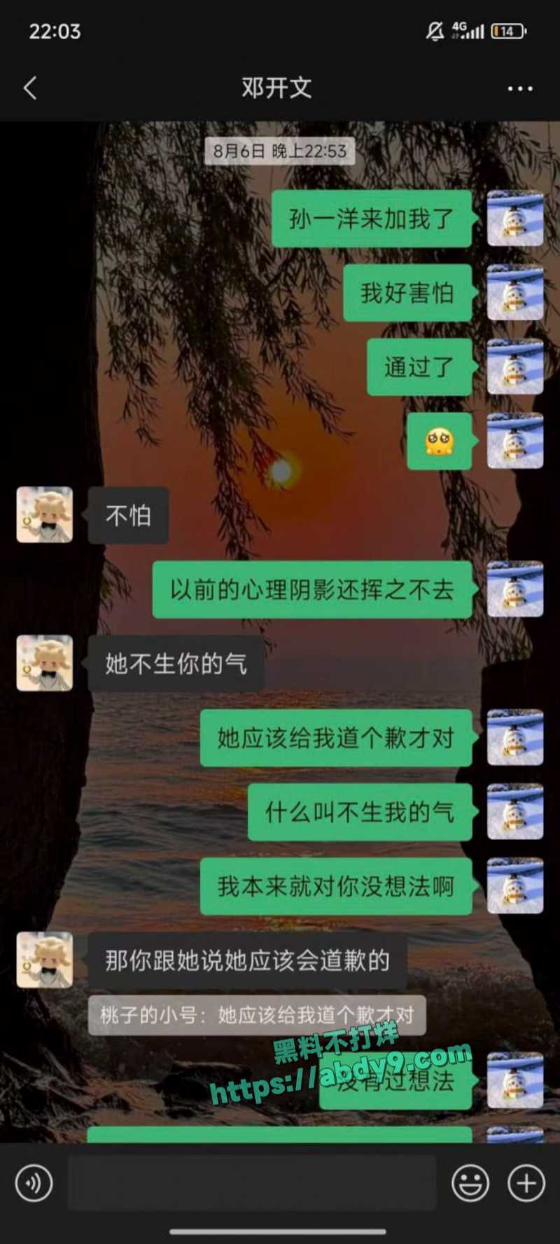 23届文科状元孙一杨邓开文恋爱秘史 6
