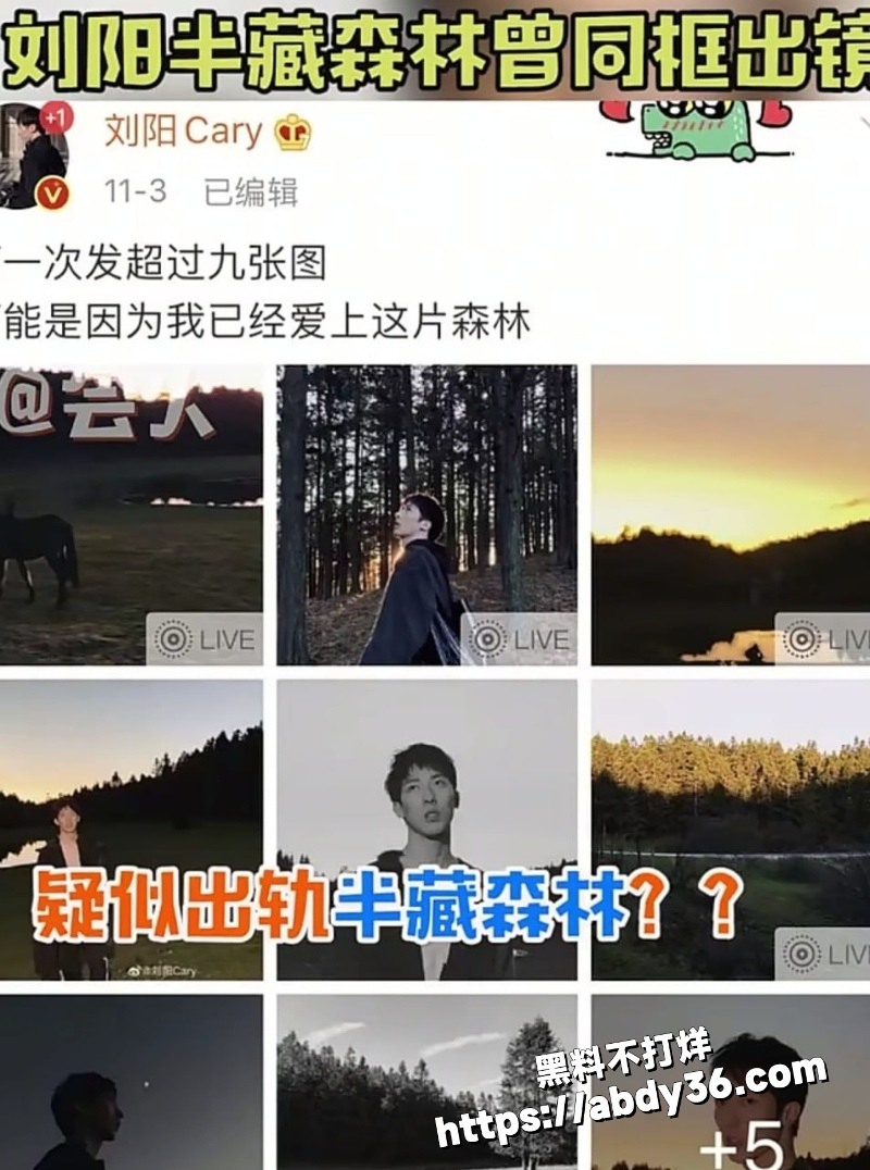 阿沁直播谈起实锤刘阳出轨11