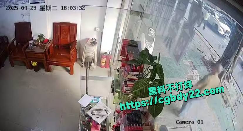 广东潮汕车祸撞人拦车3