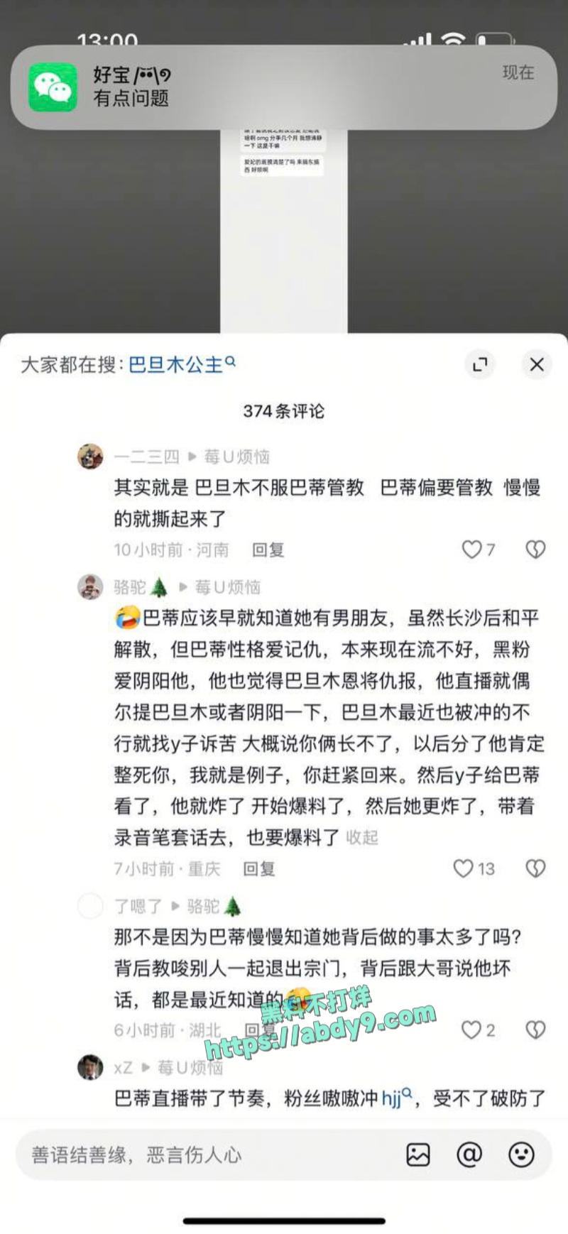 巴蒂巴旦木疯狂互爆黑料Y子约炮男模视频全网疯传 13