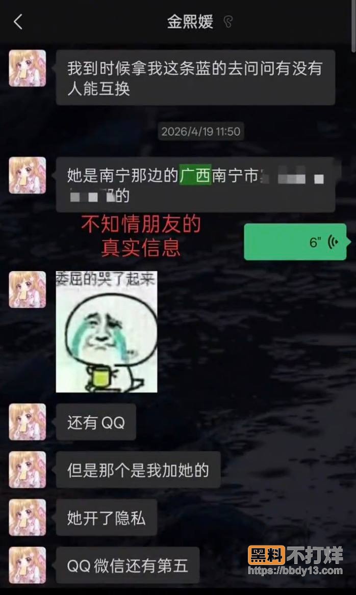 聊天记录29