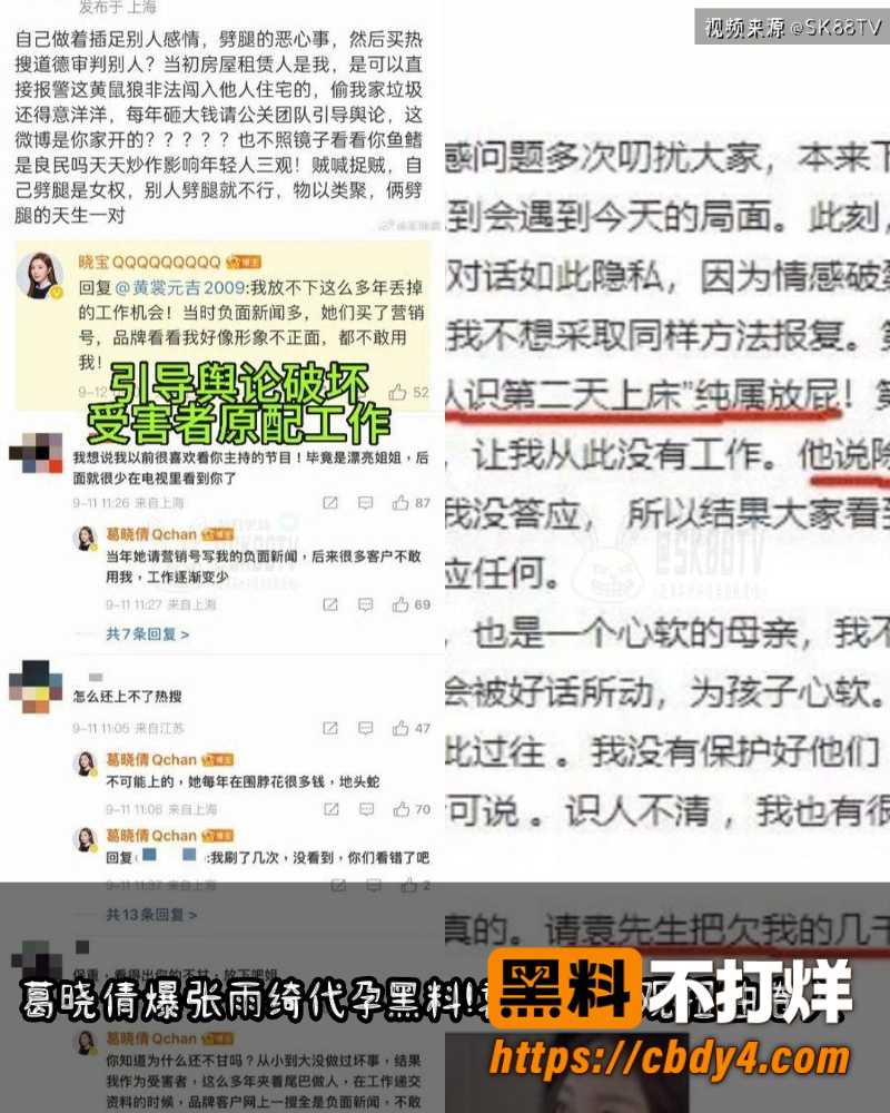 张雨绮代孕黑料 19