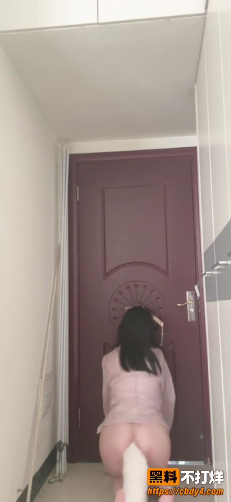 健身小妹3
