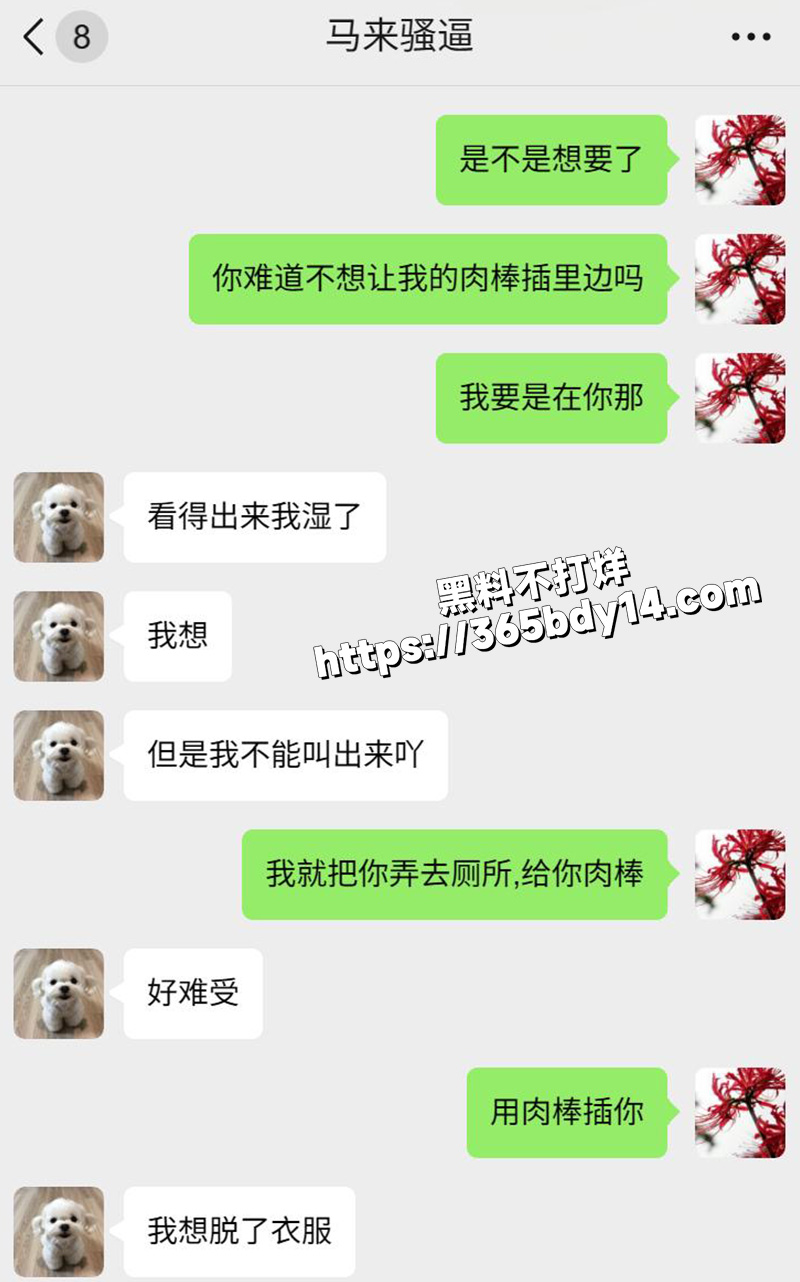 网调马来西亚小妞13