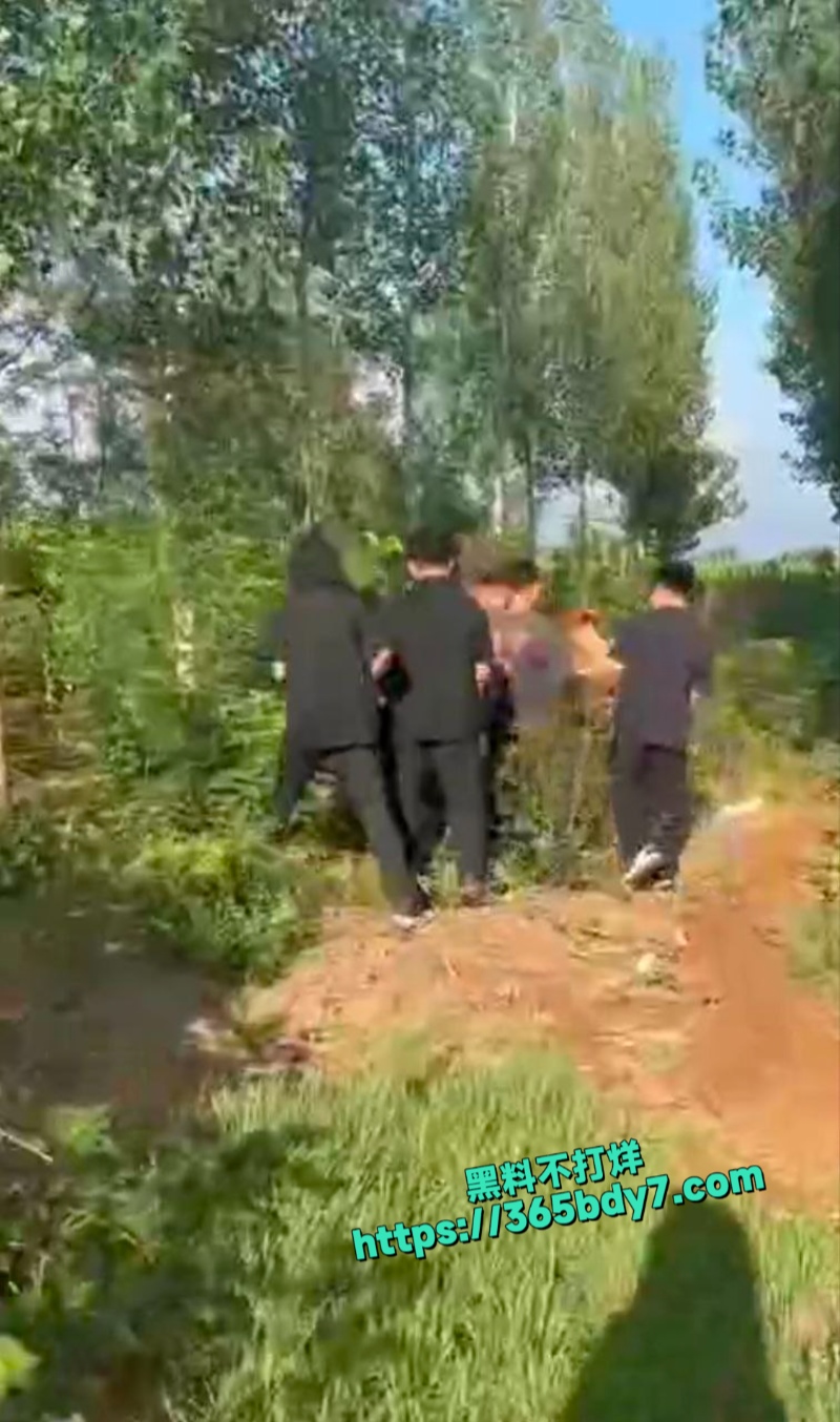 精神小伙霸凌老实人3