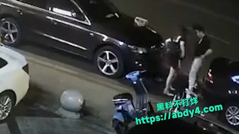 野鸳鸯精虫上脑 路边车旁激情啪啪  1
