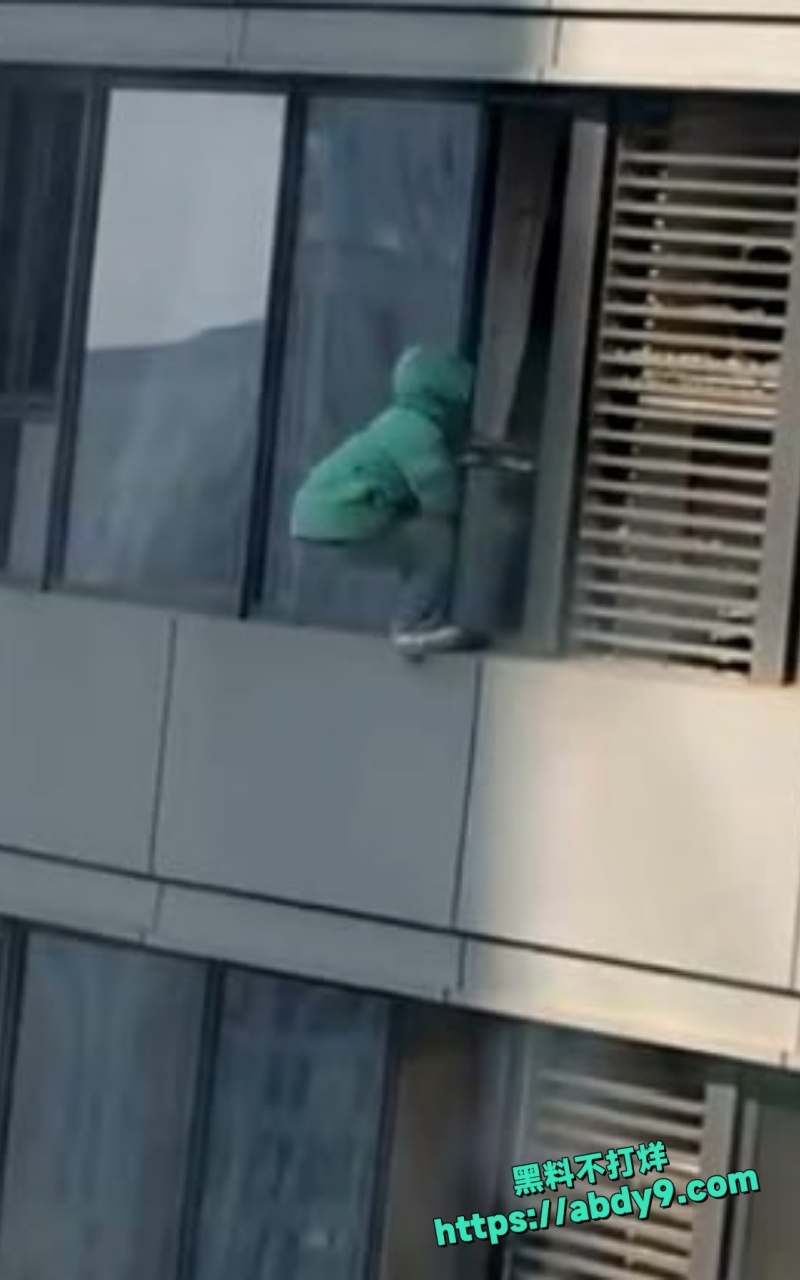 河北绿色外套少年高楼一跃坠亡全程3