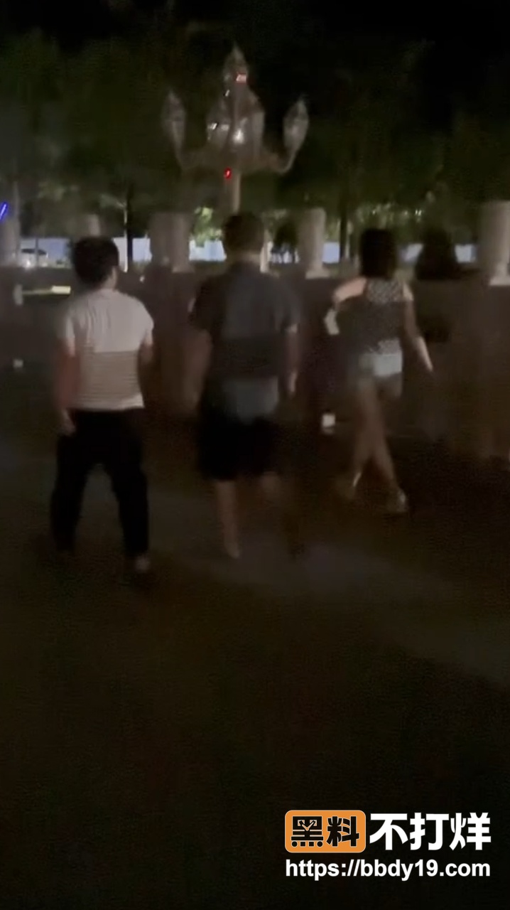 老头带小三公园约会8