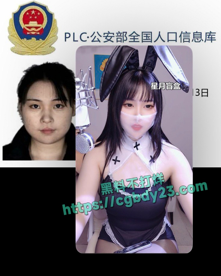 被官媒点名的b站擦边主播工地勇哥9