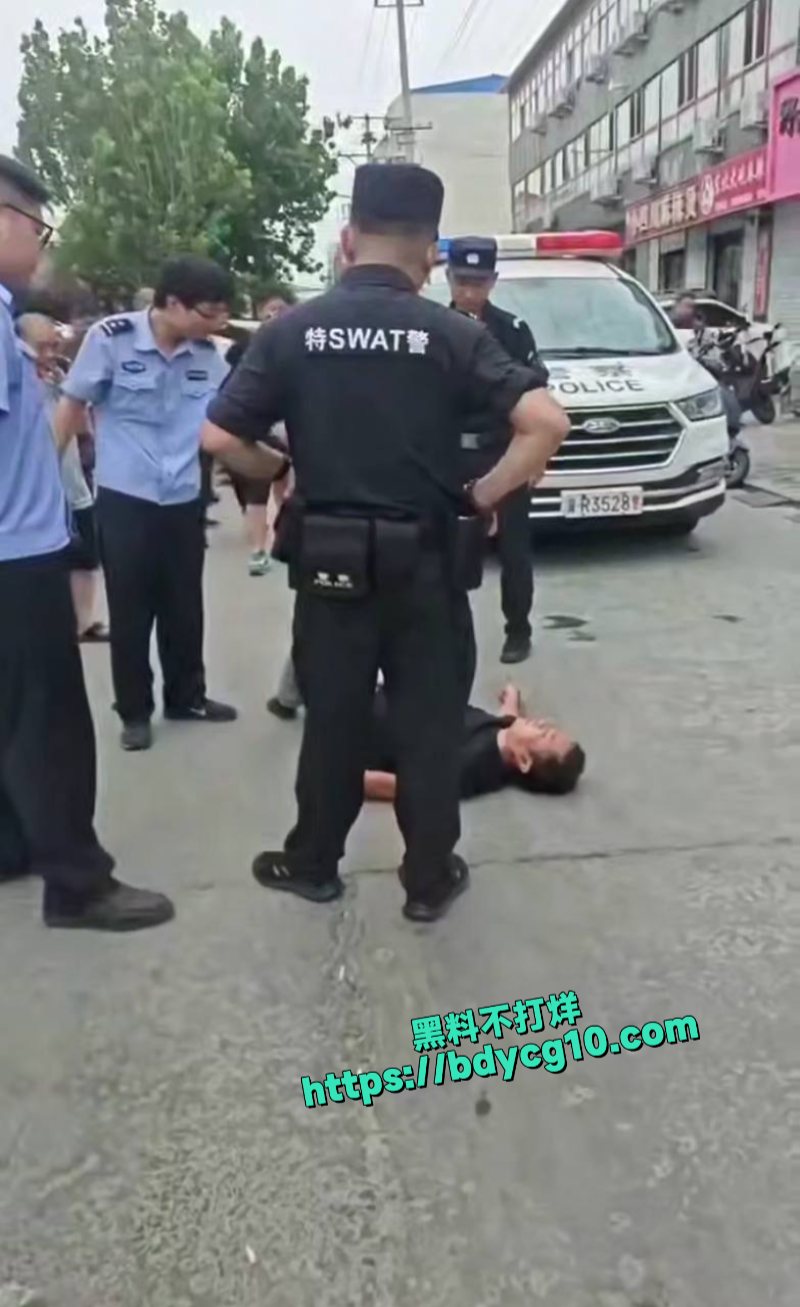 本来只是打架斗殴然后变成骂警察袭警了3