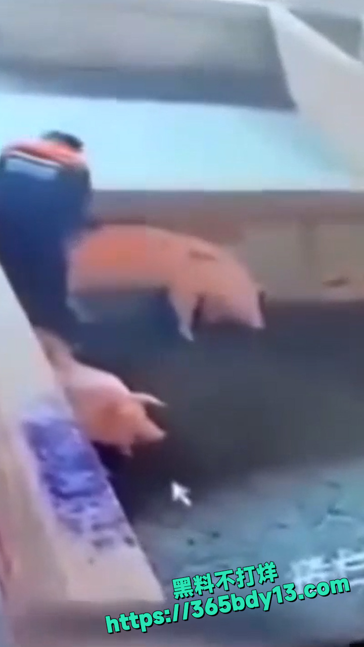 孤独三五年母狗赛貂蝉 3