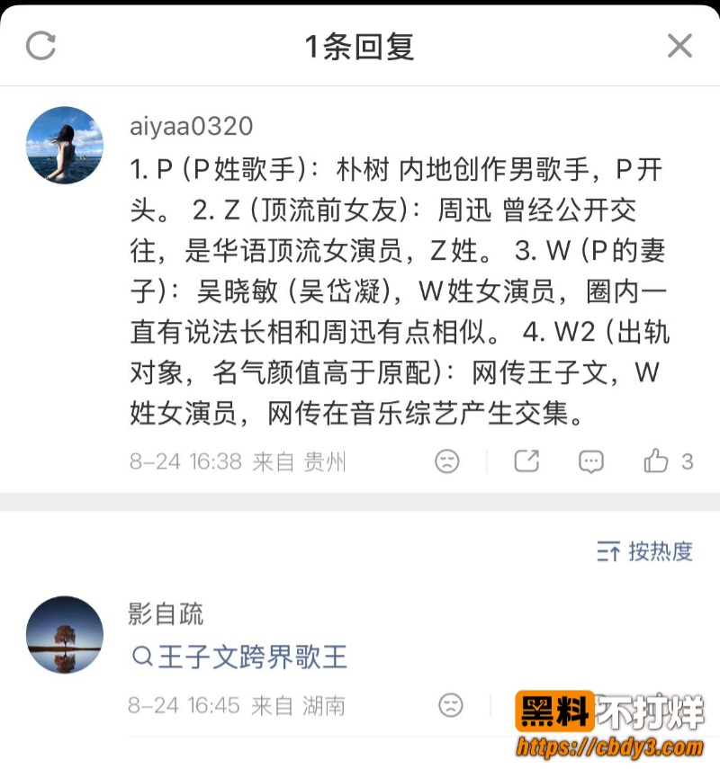 歌手朴树出轨演员王子文06