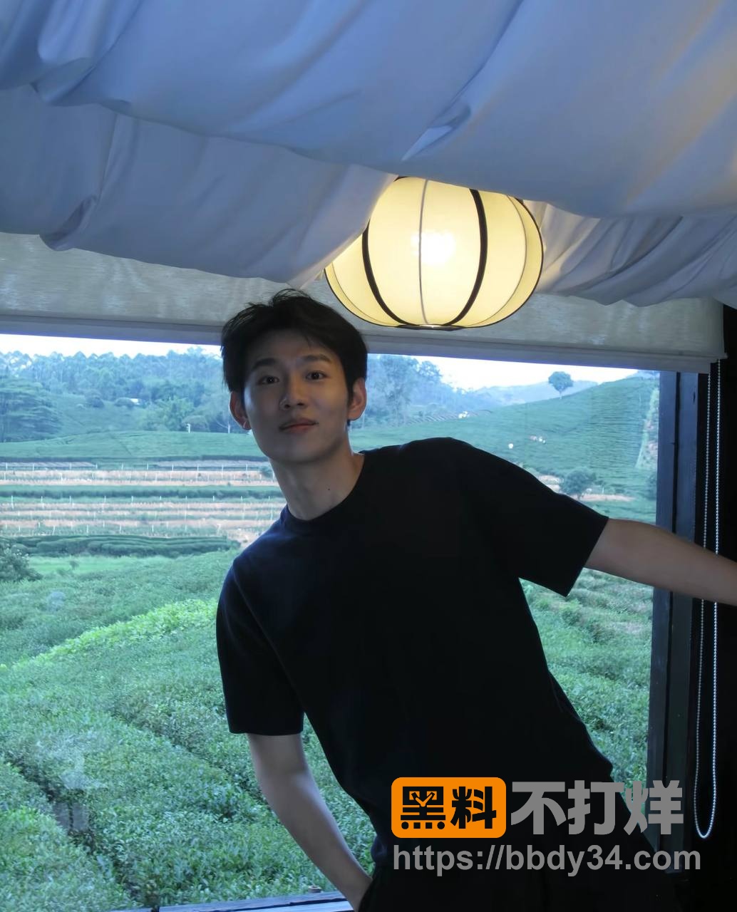照片12