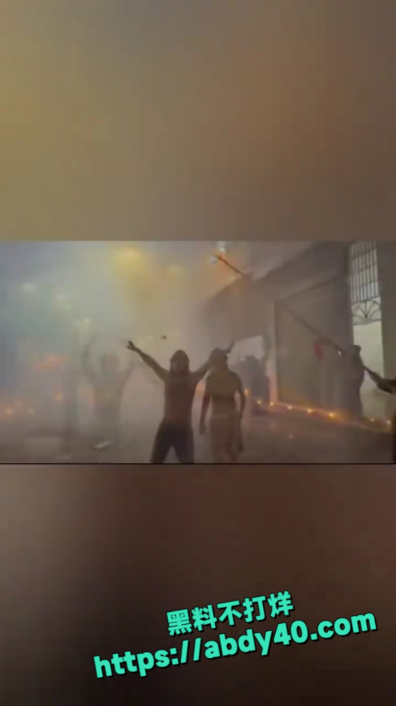 什么叫用命在舞龙 8
