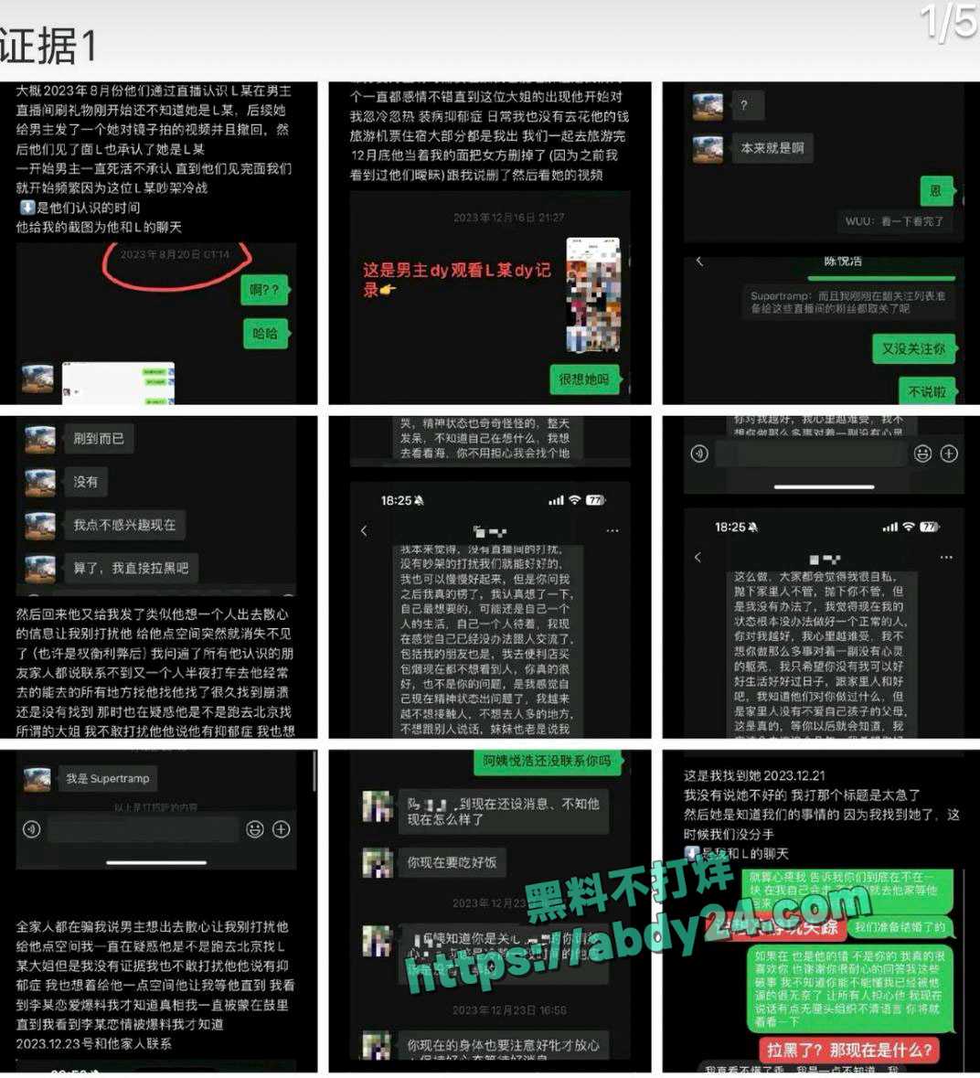饰演爱情公寓陈美嘉的李金铭知三当三 13