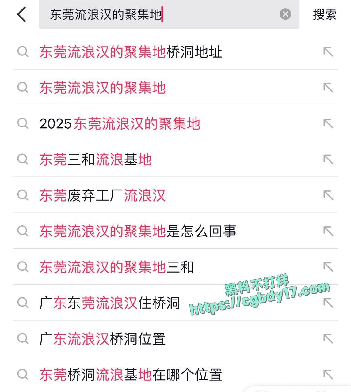 东莞 长安 #流浪汉 生活实录4