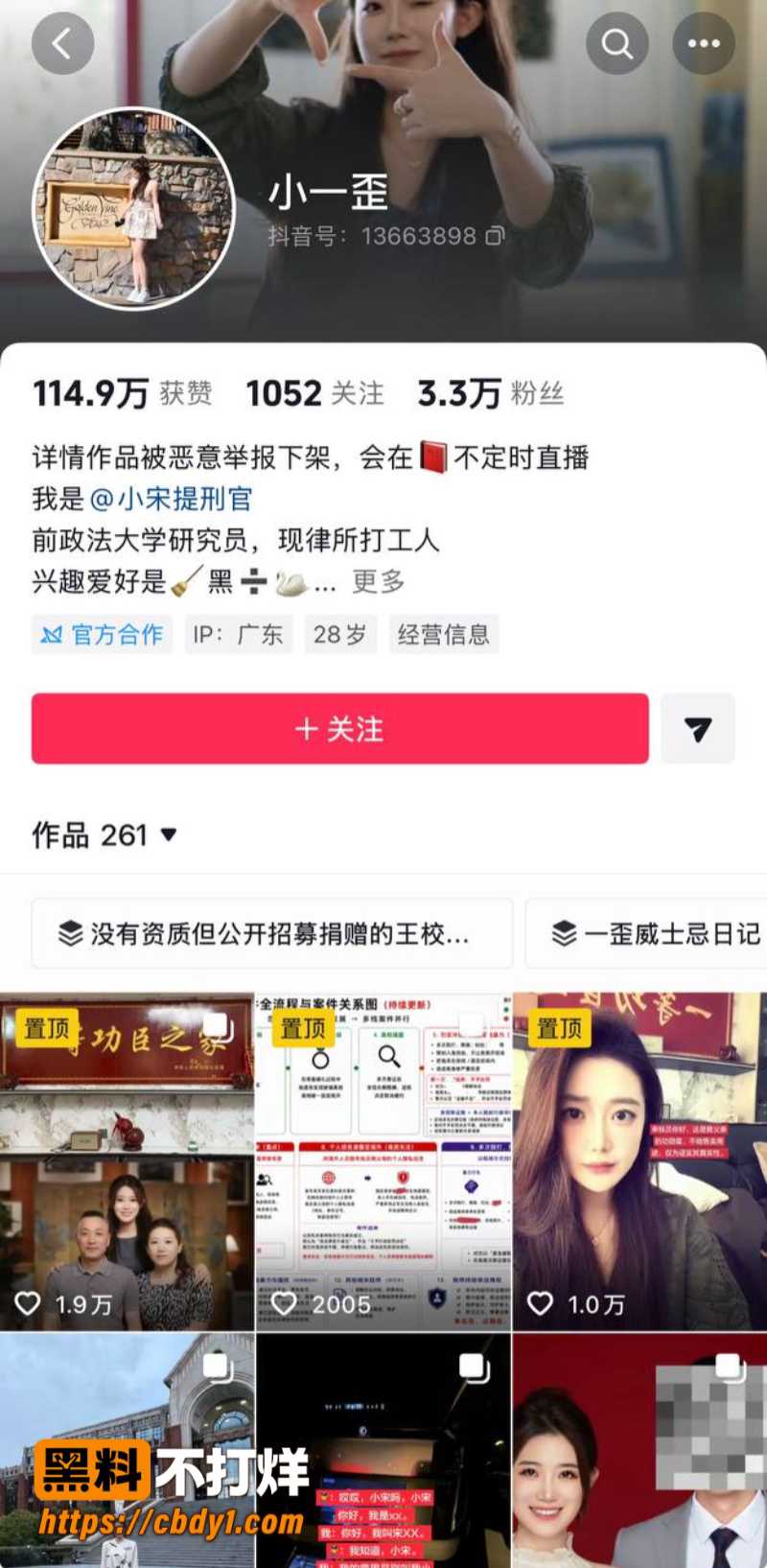王龙29