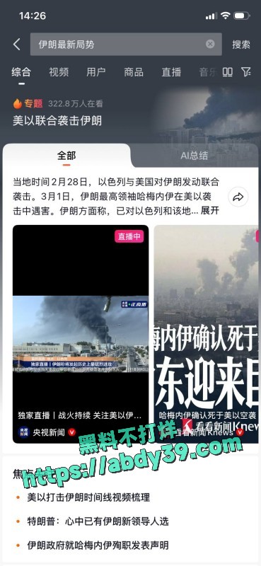 对伊朗公开大规模轰炸 19