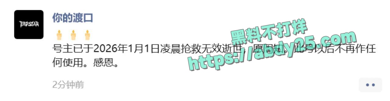 抖音网红你的渡口跨年夜猝死 2