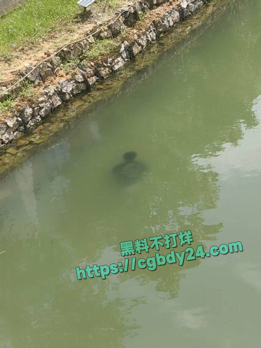 湖北武汉中国地质大学未来城校区在湖中捞出一具学生尸体7