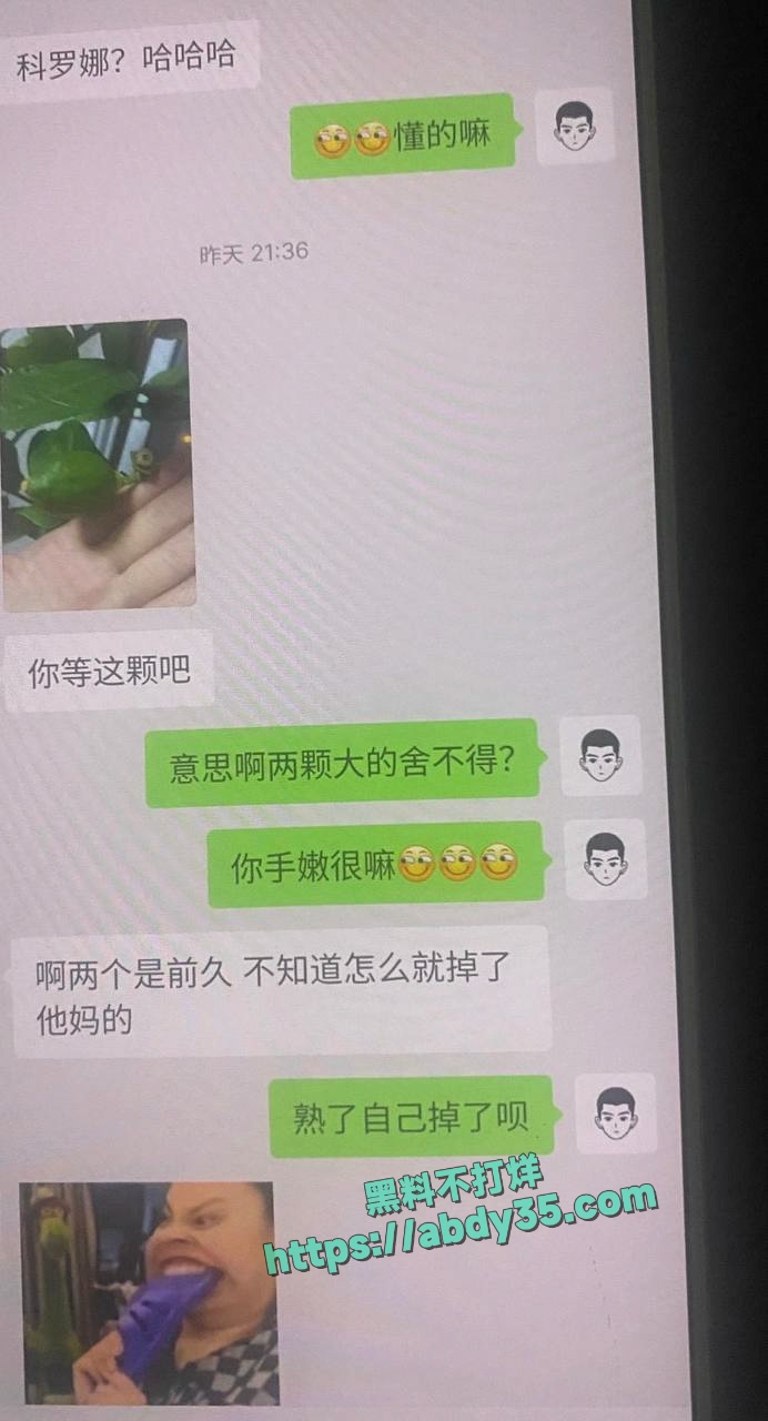 抖音网红1an出轨 31