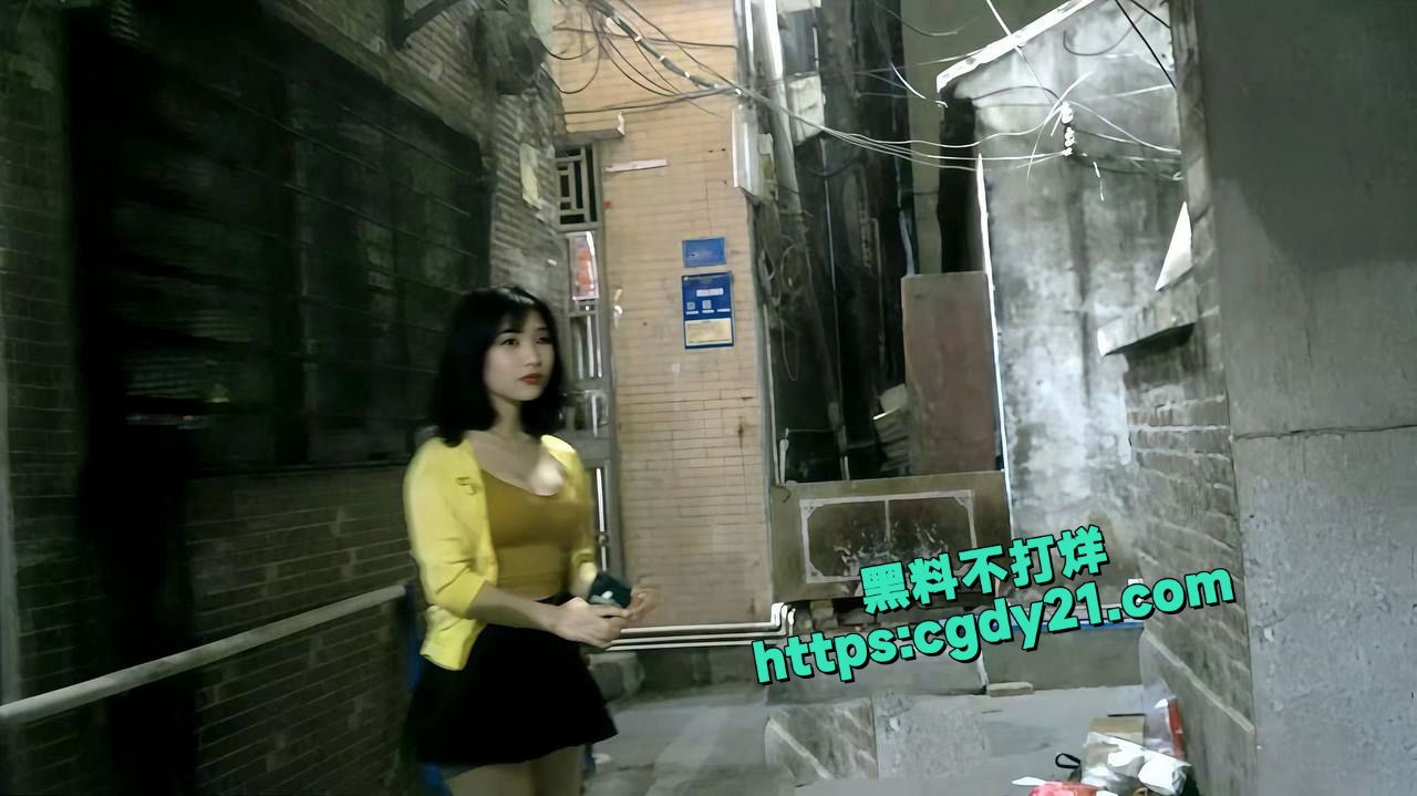 淳朴的乡村气息又出现了 五彩斑斓的鸡9