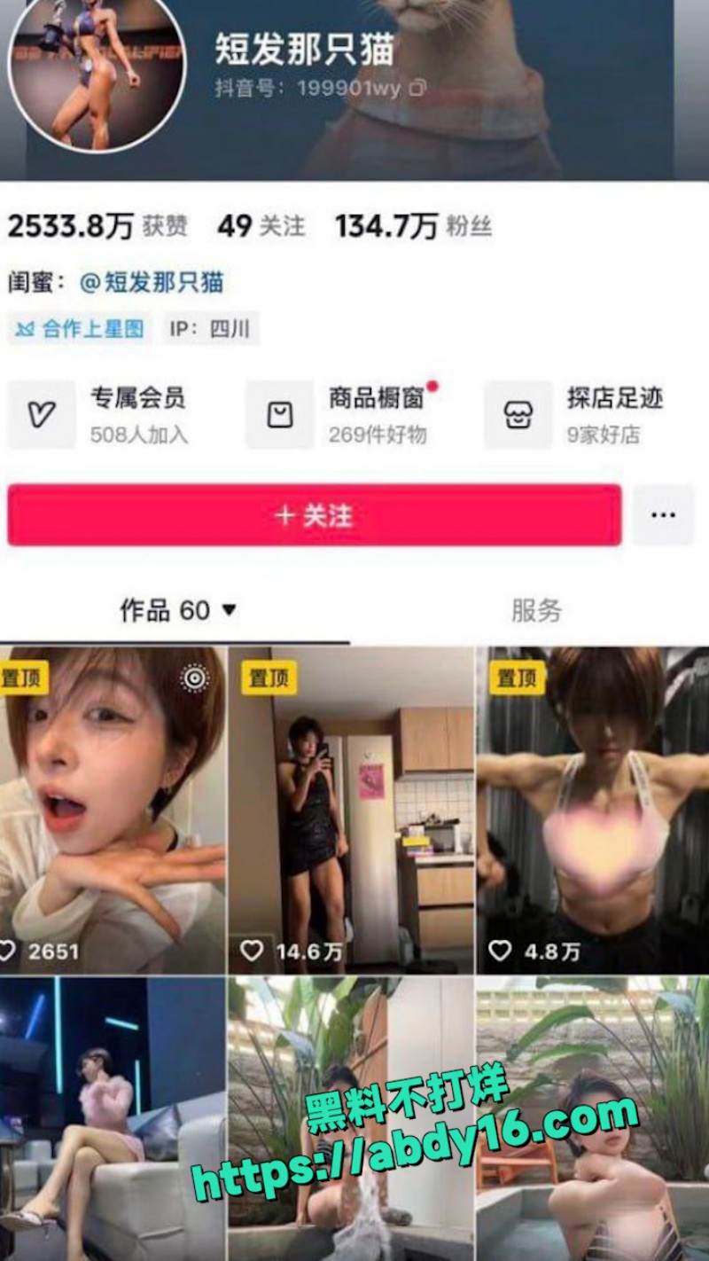 抖音健身网红短发那只猫 10