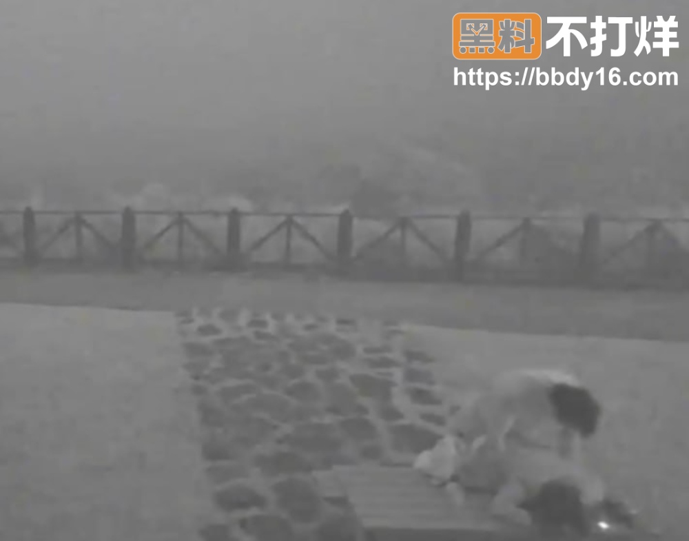 阳明山擎天岗 6