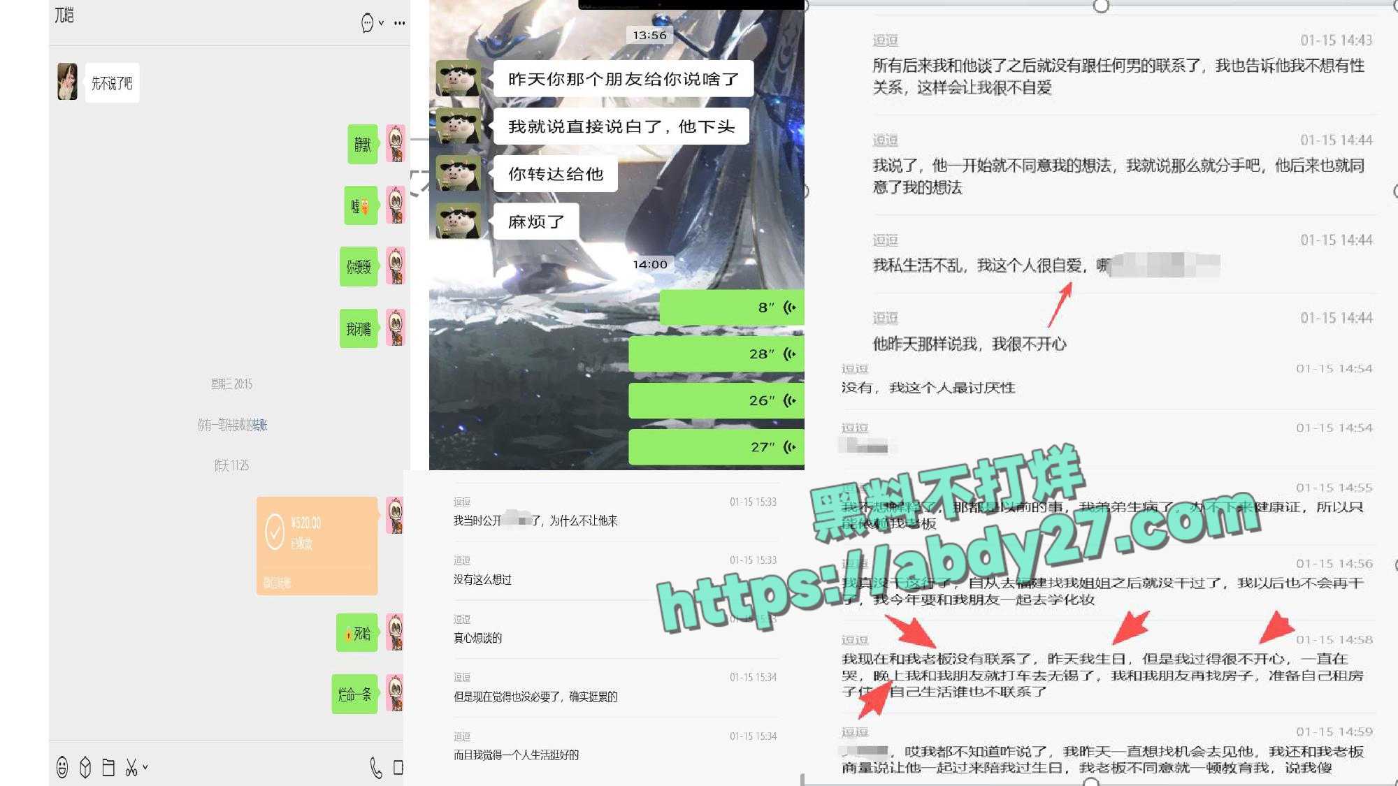 男子控诉初恋出轨老登 27