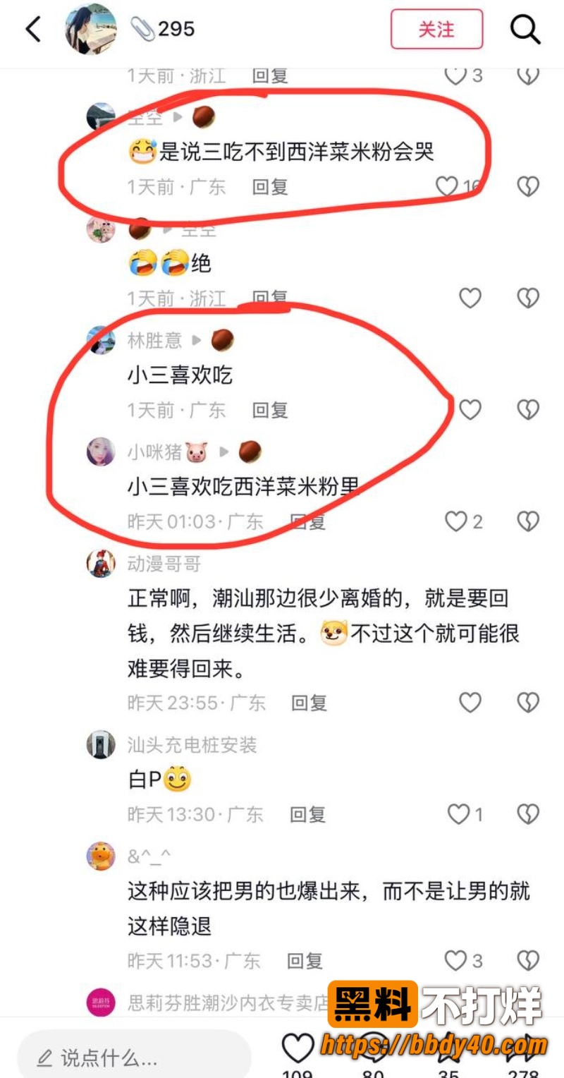 潮汕女网红叶哈哈 18