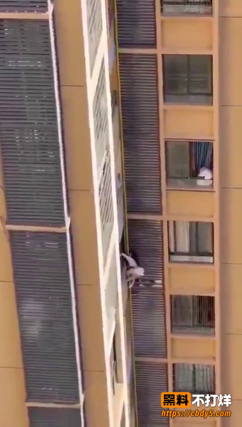 捉奸7