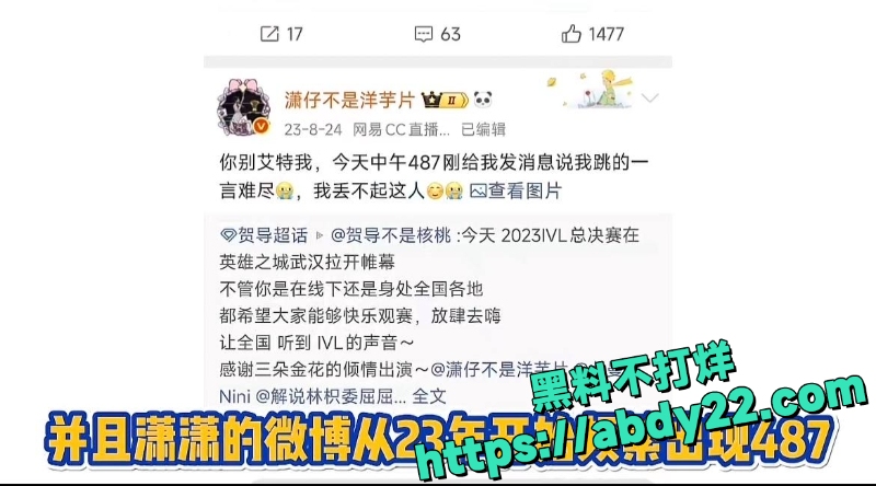 潇潇劈腿电竞冠军487 7