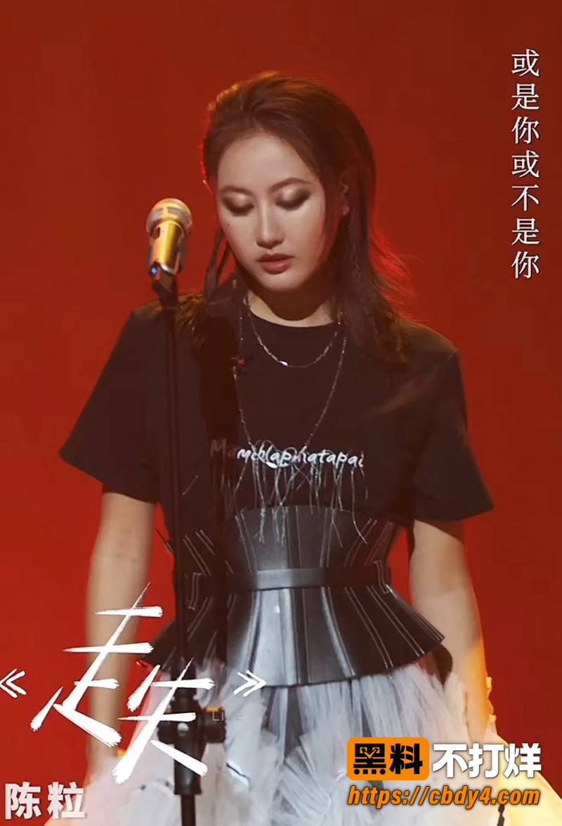 瑞恩2