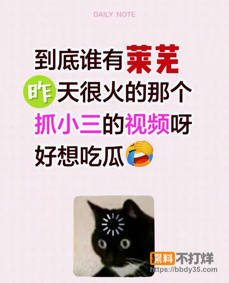 网友跪求的莱芜抓小三01
