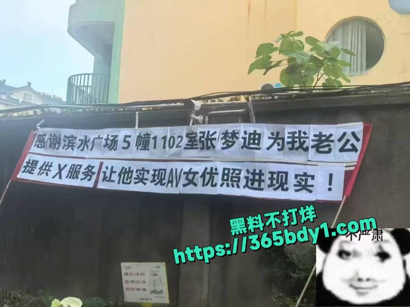 浙江嘉兴平湖滨水广场小三和原配撕起来了1