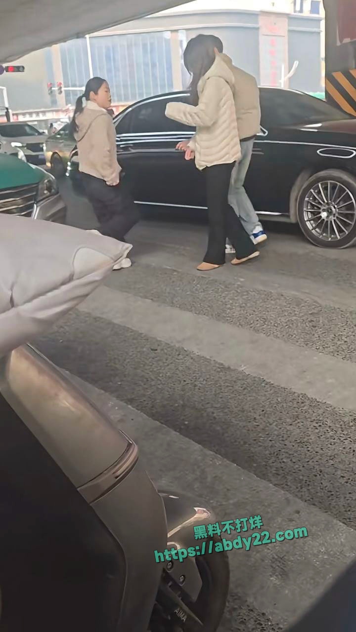 河南奔驰哥帮小三当街殴打原配 7