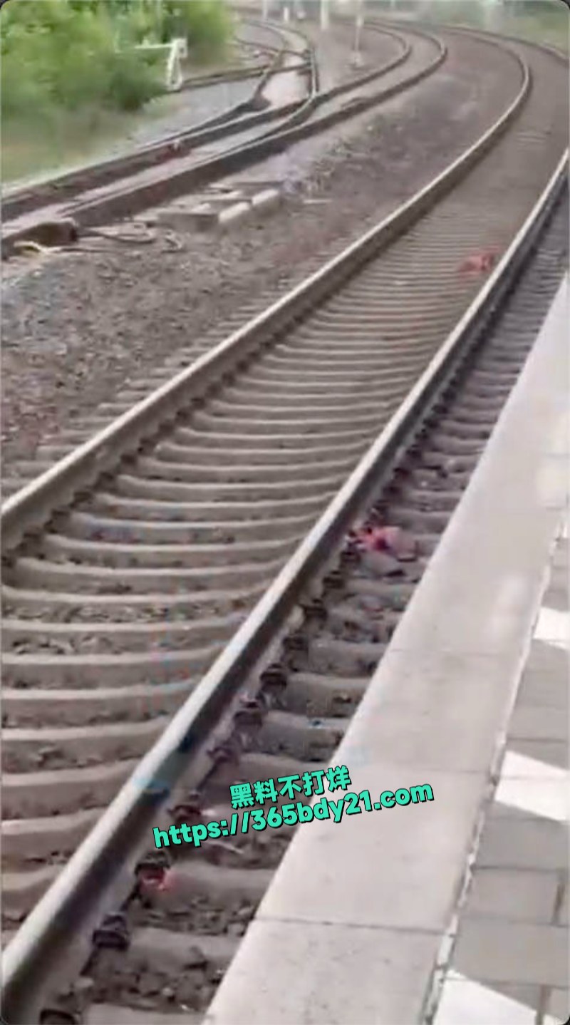 国外火车站全裸男子跳轨自杀全过程视频 6