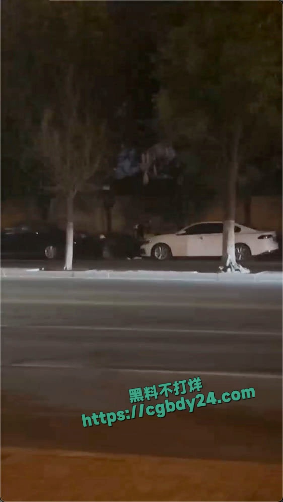 华府山水路边俩人在引擎盖上直接脱裤子开干3