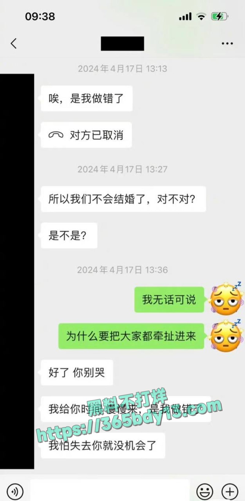 女网友与魏大勋聊天记录2