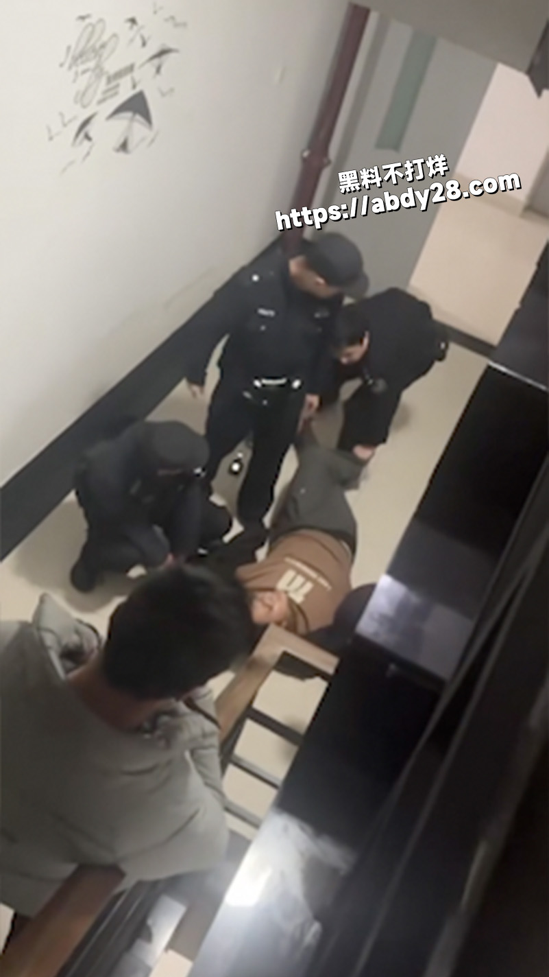 二次元作者写小说写疯了8