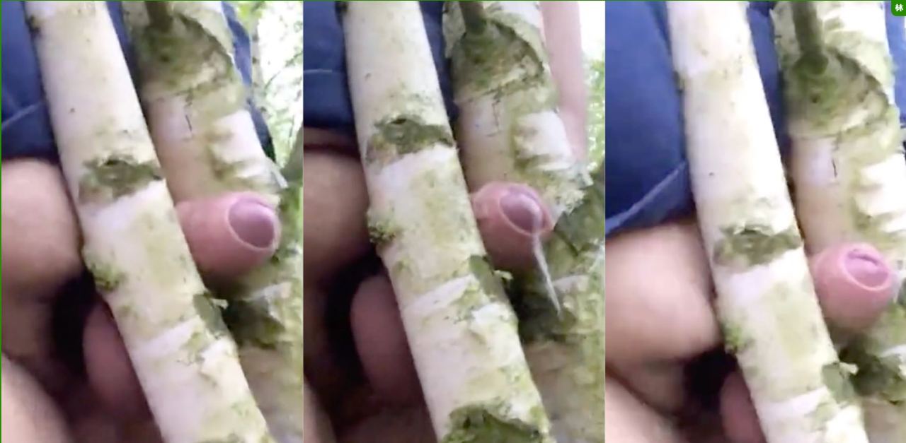 新奇视频超级大胖子用小鸡吧操树杈子 最后射出来真是人才扯淡