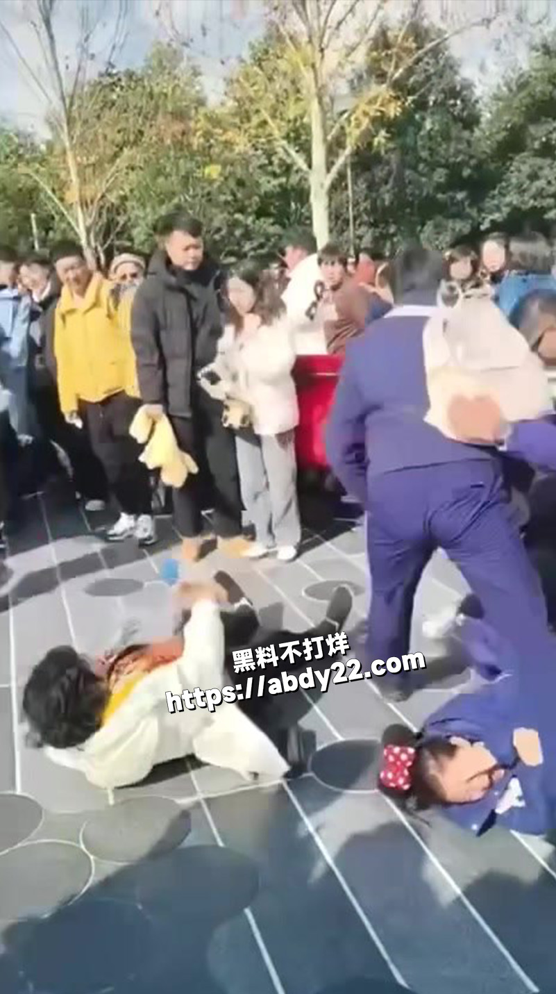在上海迪士尼公园7
