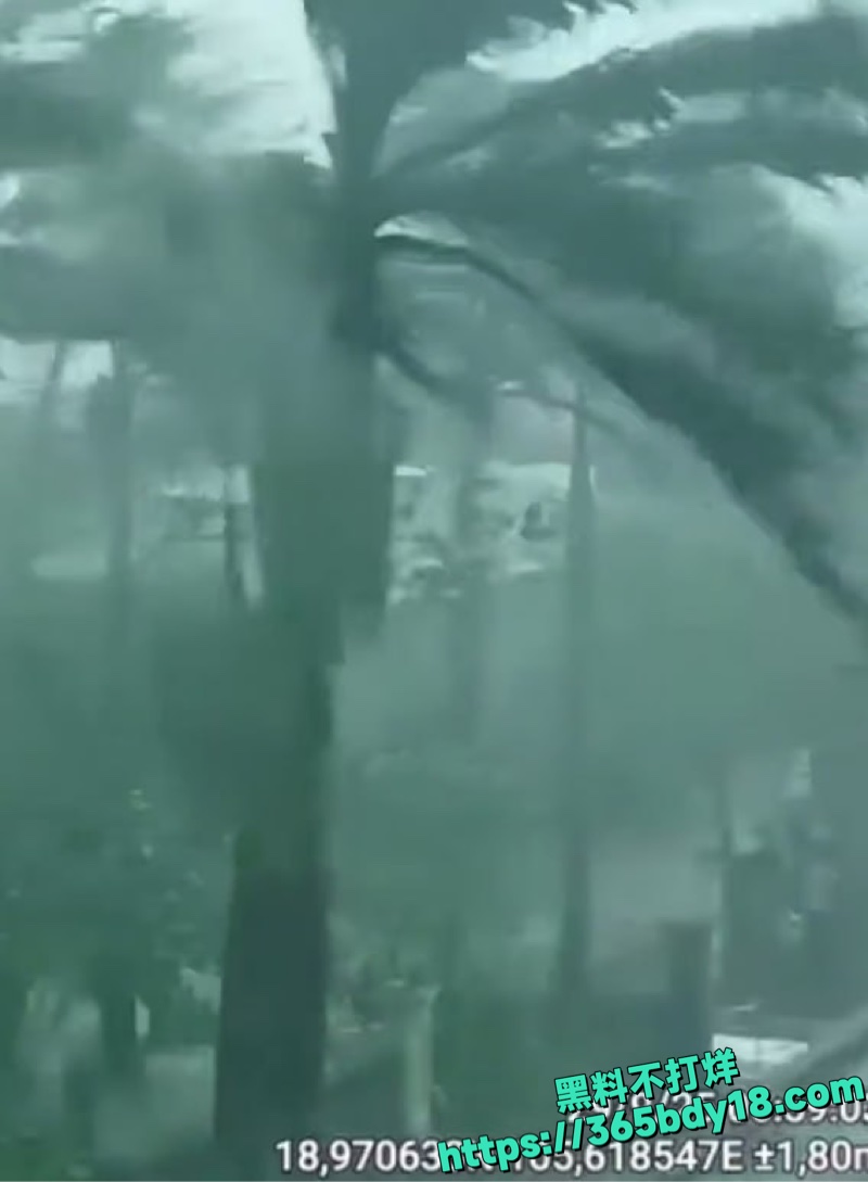 台风博罗依河静省统计4