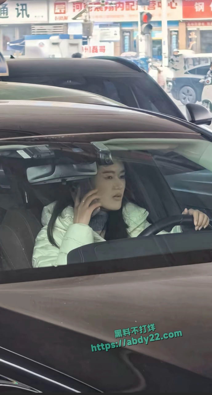 河南奔驰哥帮小三当街殴打原配 10