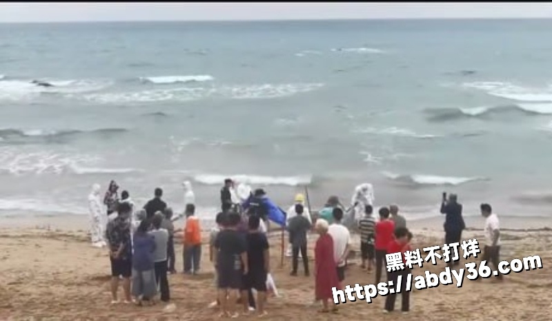 2026年2月多地突发事件合集 5