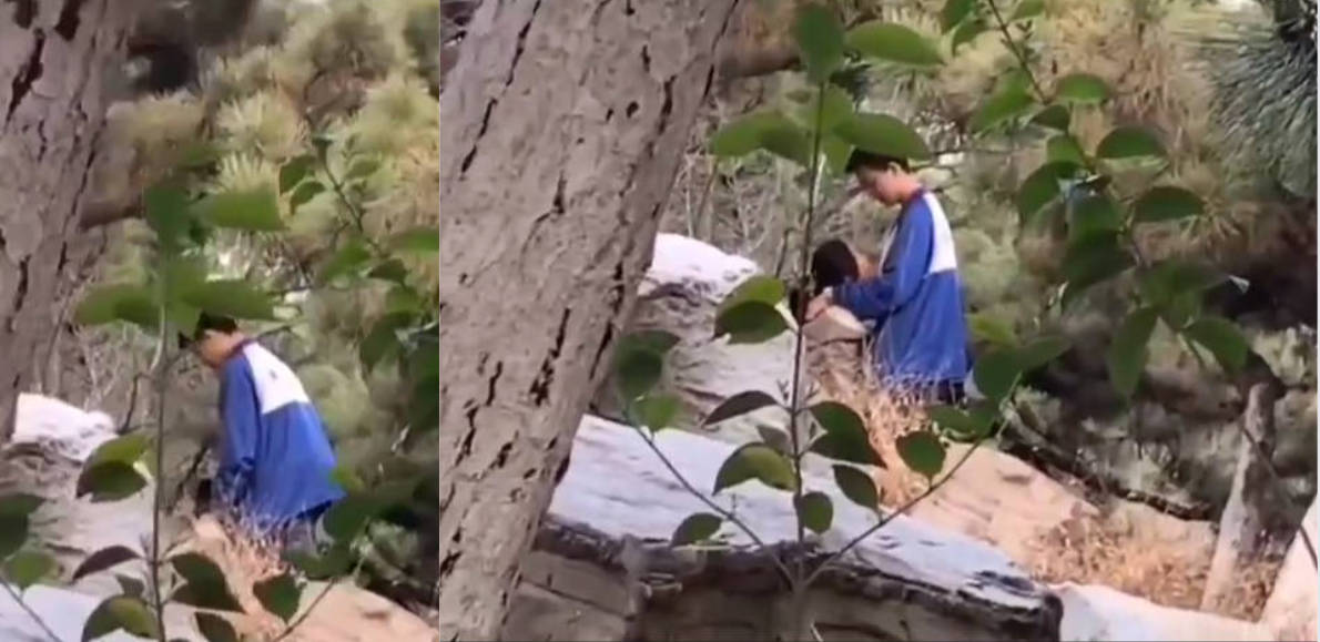 山东枣庄滕一中学 一男一女在学校花园中野战被偷拍！大吉大利，小树林吃鸡！